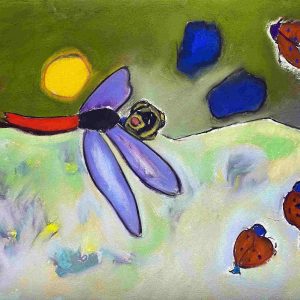Meadow Lark, Dragon Fly, Lady Bugs