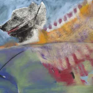 Bear of Clouds